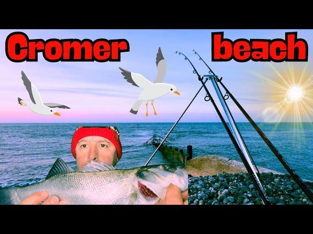 Sea fishing Cromer beach north Norfolk shore angling new spot success multi species day & night