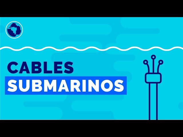 How does the internet work: the submarine cables that connect the world