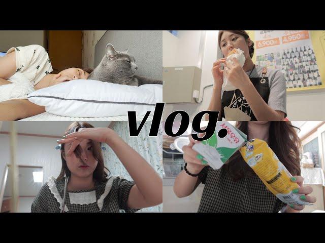 VLOG ㅣ직장인브이로그ㅣ일상브이로그ㅣ광주브이로그ㅣ맥주창고점주ㅣ셀프앞머리자르기ㅣ생크림와플ㅣ죠리퐁ㅣ고양이ㅣ러시안블루집사ㅣ
