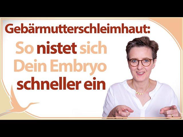 Gebärmutterschleimhaut: So nistet sich Dein Embryo schneller ein  (Heidi Gößlinghoff)