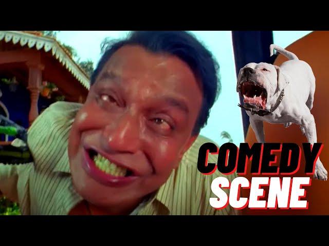 Mithun Chakraborty को अपने ही कुत्ते ने किया अटैक | Dog Biting Scene | Golmaal 3 | Johny Lever