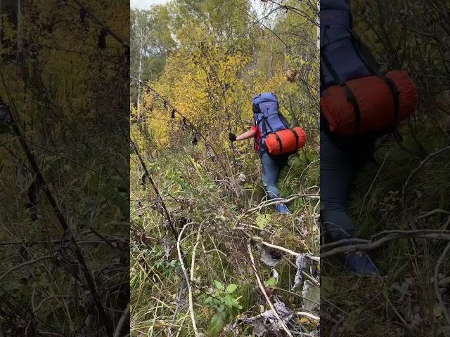 Идём там,  где обычно не ходят. Восточный Казахстан, река Уба.