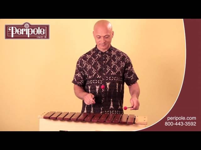 Introducing the Peripole-Bergerault® Orff Bass Xylophone