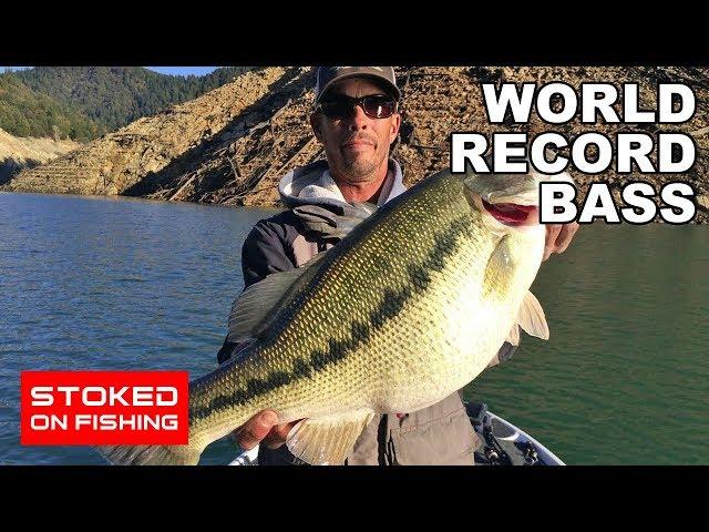 World Record Bass | Part 1