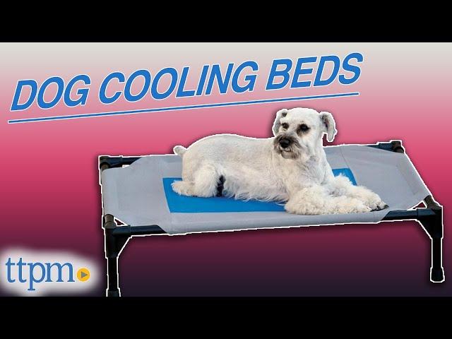 Puppies Review Dog Cooling Beds! *ADORABLE* | TTPM Pet Reviews