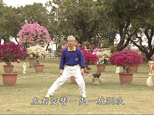 17式醫學氣功練功影片