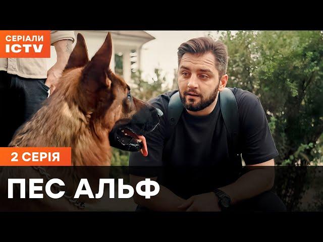 Пес Альф 1 сезон 2 серія | ДЕТЕКТИВИ | СЕРІАЛ  ICTV| КОМЕДІЇ