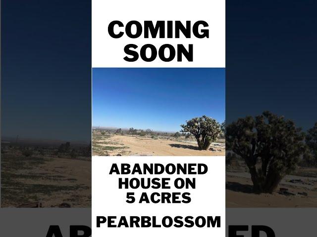 Abandoned home on 5 acres #fixer #developmentopportunity #pearblossom