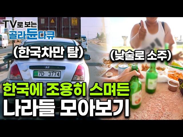 여기 분명 해외인데 어딘가 낯이 익다｜전세계 곳곳 한국인만 알아볼 수 있는, ‘갑자기 분위기 대한민국’ 모아보기｜세계테마기행｜#골라듄다큐