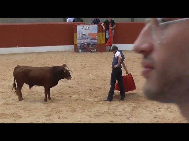 Toros La Almarcha San Bartolomé 2023