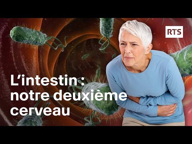 Microbiote et cerveau: la santé mentale réside-t-elle dans l’intestin ? | RTS