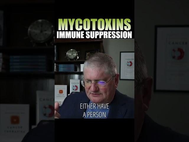 MOLD Doesn't Cause Your Illness (It's actually this..)