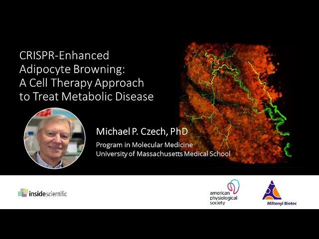 CRISPR-Enhanced Adipocyte Browning: A Cell Therapy Approach to Treat Metabolic Disease