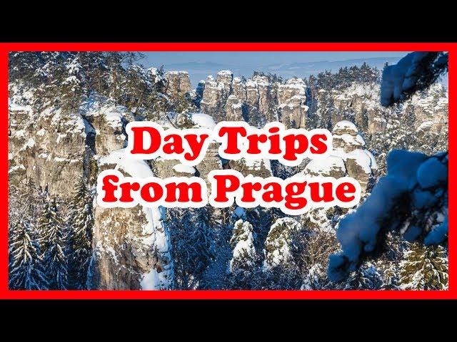 5 Top-Rated Day Trips from Prague, Czech Republic | Europe Day Tours guide