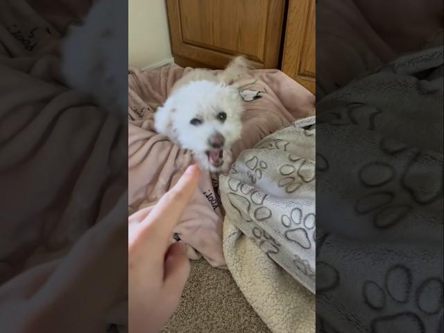 Wait for it 