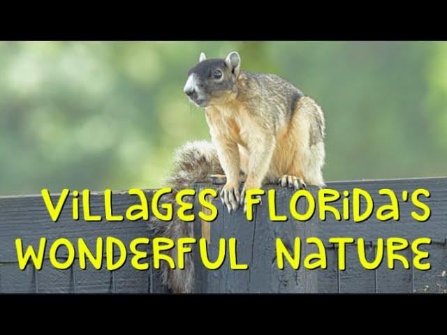 The Villages in Florida - Wonderful Nature