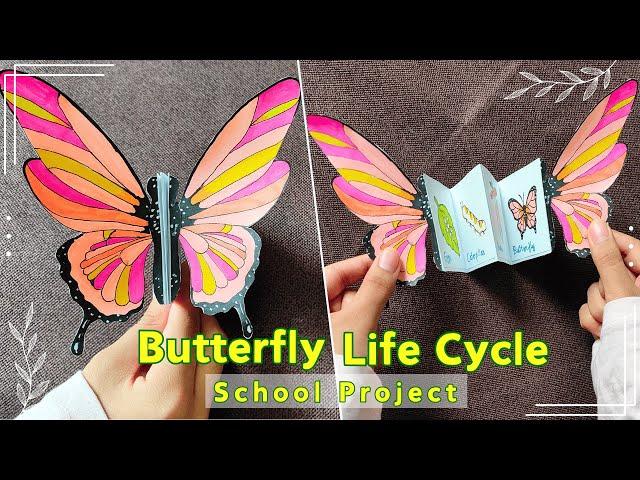  Butterfly Life Cycle School Project / Model -  School Science Project Ideas  #schoolcrafts