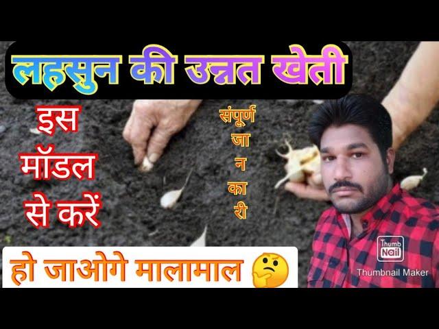 लहसुन की खेती कैसे करें? संपूर्ण जानकारी // Lahsun ki kheti // garlic farming