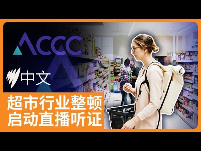 澳洲超市行业大整顿，ACCC直播调查听证会 | SBS中文