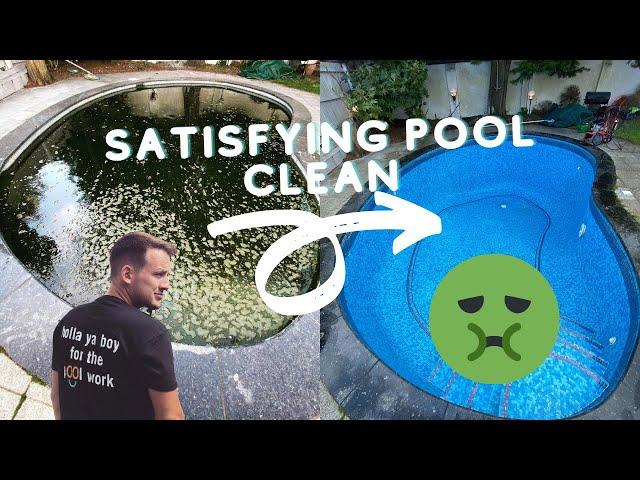 This green pool hadn’t been used for over a YEAR! Satisfying pool clean!