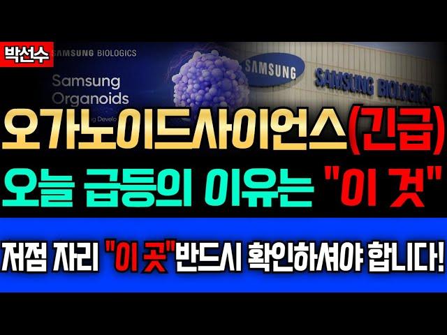  오가노이드사이언스 - 단기 급등의 이유는 이 것?! 내일 흐름 "이 자리" 반드시 확인하셔야 합니다! 대응 전략 이렇게 이해하세요!
