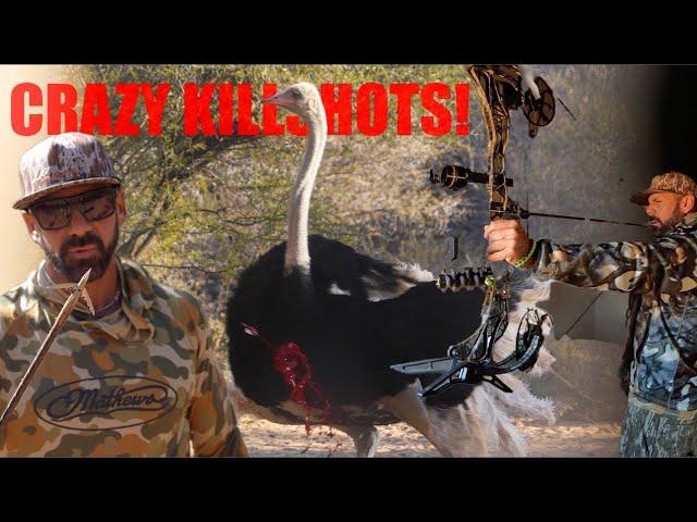 African Bowhunt - African Bowhunting Adventures