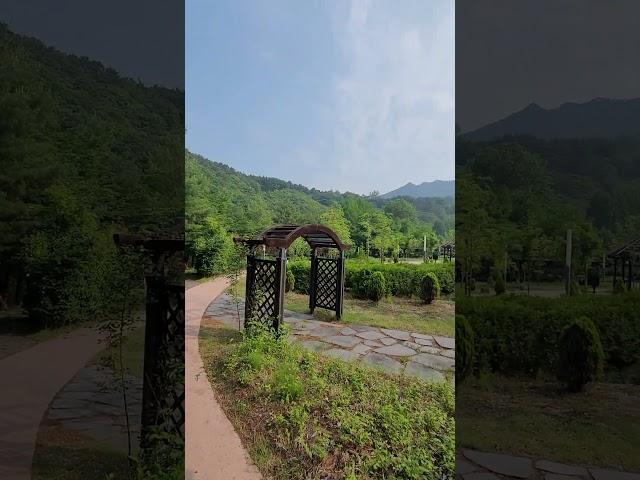 자연속으로 캠핑카여행