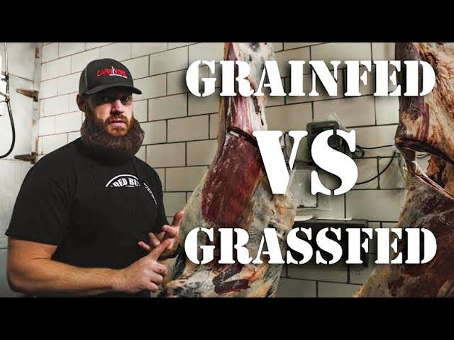 Grass Fed Beef vs Grain Fed Beef (What's the Difference) | The Bearded Butchers