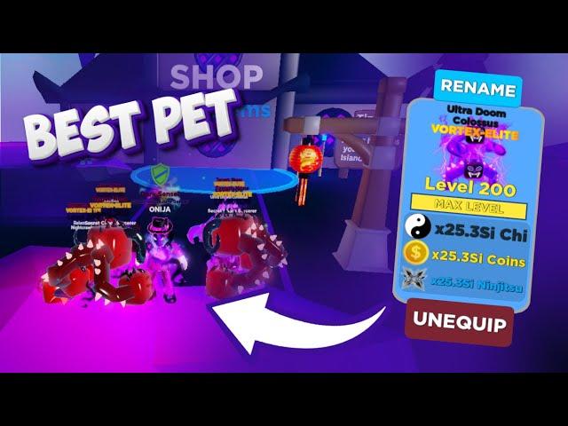 This Is How I Got The Best Pet In Ninja Legends