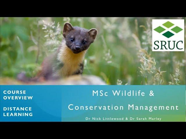 MSc Wildlife and Conservation Management Online Open Day - February 2024