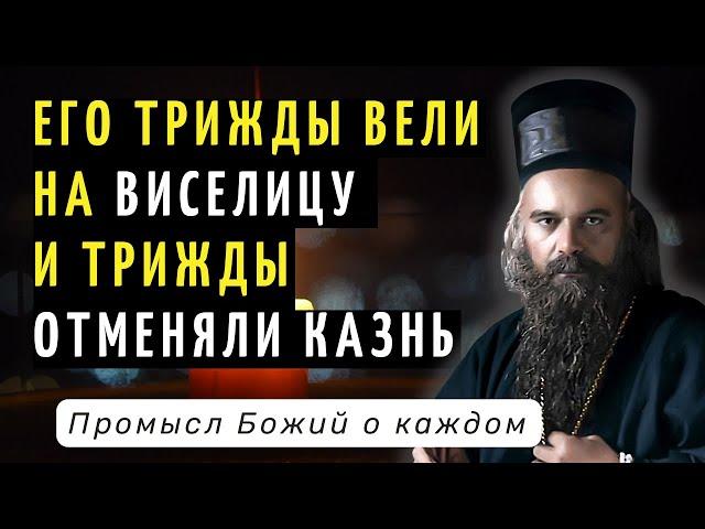 Промысл Божий о каждом - Николай Сербский