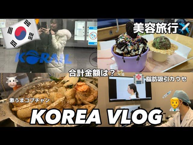 【金額公開】2泊3日韓国美容vlog#1脂肪吸引カウセ/美容院/激うまコプチャン/両替所