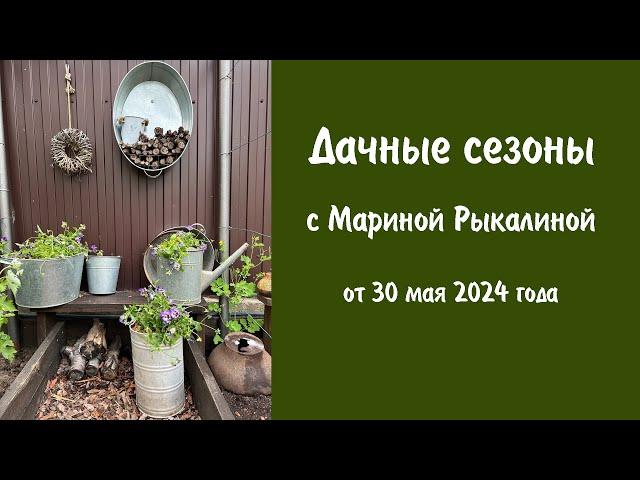 Дачные сезоны с Мариной Рыкалиной от 30 мая 2024 года