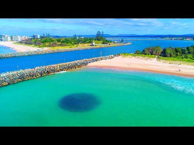 Forster-Tuncurry Mullet Run (with GREAT WHITES!)