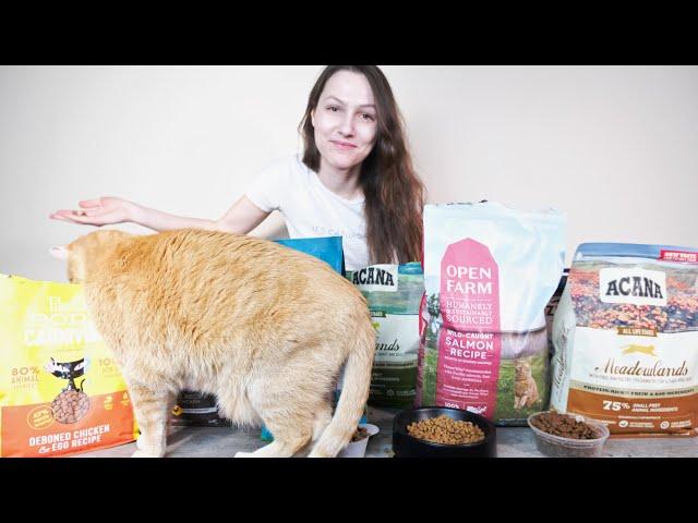 The Top 7 Best Dry Cat Foods of 2022 (We Tested Them All)