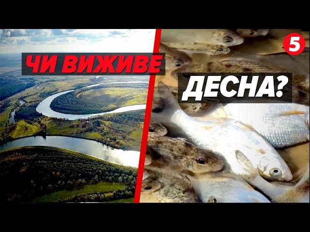 ЗАБРУДНЕННЯ води у Десні! Як врятувати річку? Пояснення фахівців!