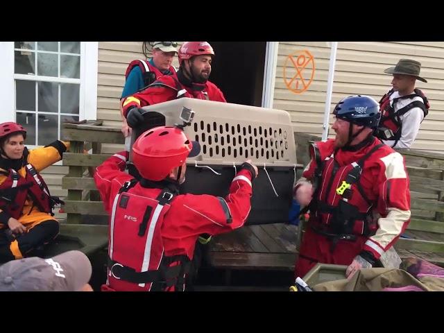 Hurricane Harvey: Animal Rescue Team rescues animals from flooding in Beaumont, TX