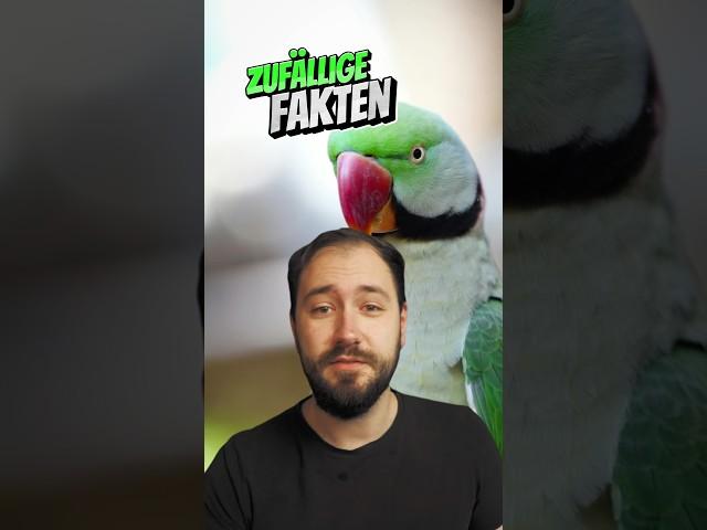 Zufällige Fakten #1 