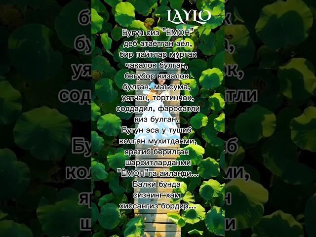 АЁЛ КИСМАТИ... ️#LAYLO.T.V️