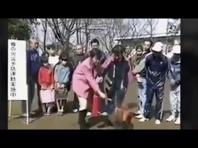 Прикол Компиляция сентябрь 2015 Fails compilation september 2015