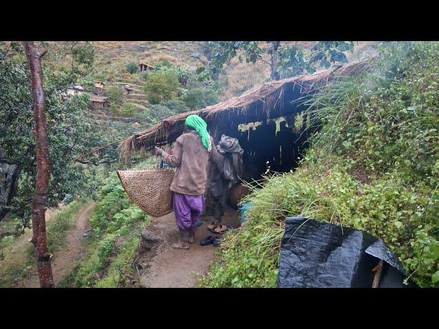 Most Relaxing Nepali Mountain Village Life | Rainy Day in Village| Daily Activities of Village Life|