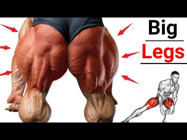 Best 5 Big Legs Workout At Gym l Leg Workout At Gym l Leg Workout Exercises