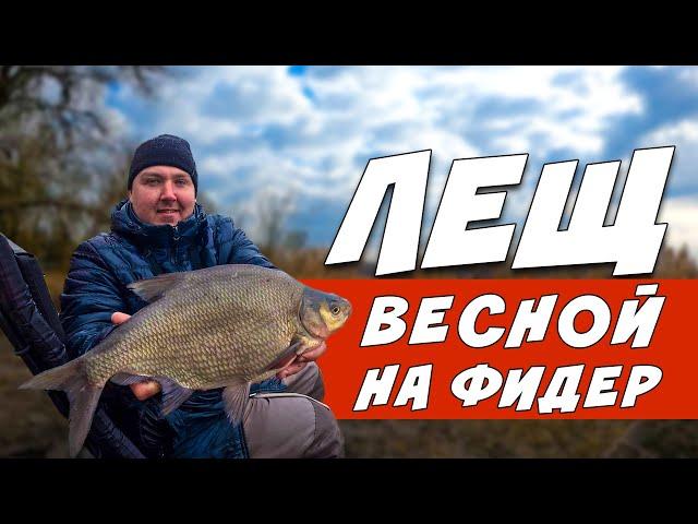 ТРОФЕЙНЫЙ ЛЕЩ На Фидер ВЕСНОЙ! Фидерная Рыбалка НА РЕКЕ!