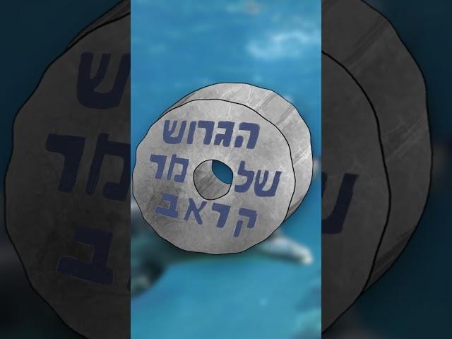 מי גנב את הגרוש של מר קראב מבובספוג?! 