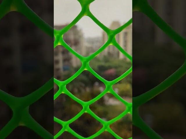 Joy of unexpected rain  | #rain #noida #suddenly