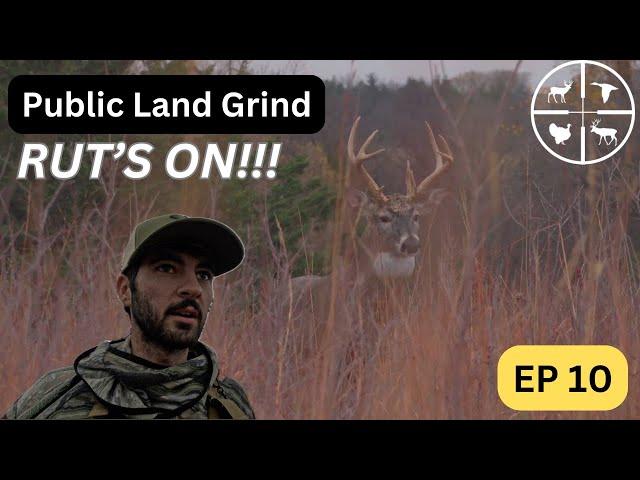 BUCK's ON THE MOVE     PUBLIC LAND GRIND ep 10