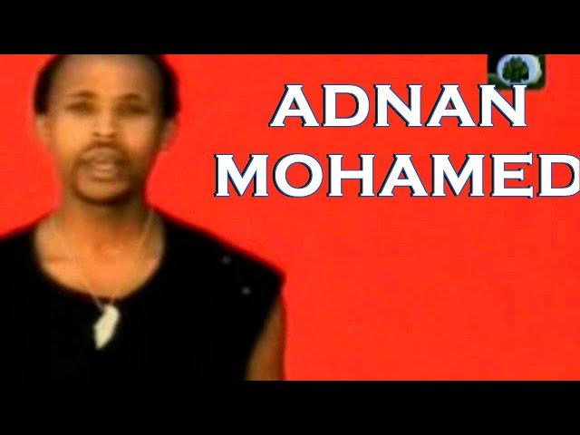 IMIMMAAN JAALALAA|| BEST OF ADNANA MOHAMEED OROMO MUSIC