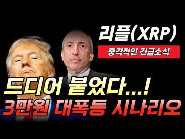 [리플 전망]드디어 붙었다 3만원 대폭등 시나리오 이렇게 나옵니다