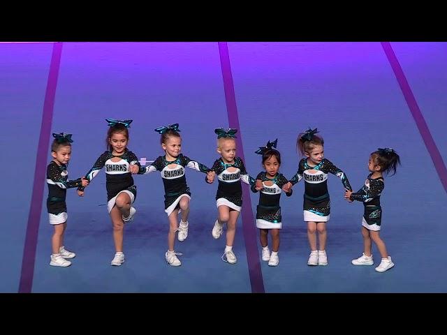 Cheer Sport Pocket Sharks   Tiny Prep 1