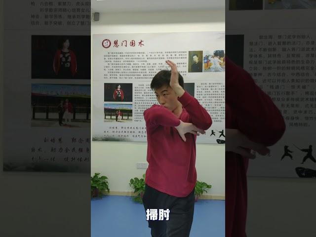 肘法教学挑肘和扫肘